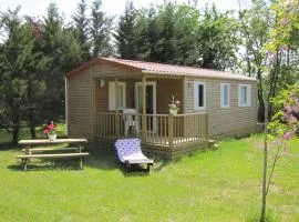 Mobil Home 34m² avec Terrasse pour 6 à Dévillac - API-1-52-331