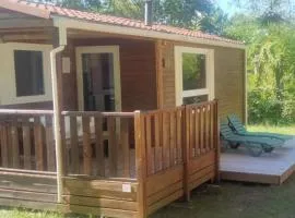 Mobil home confortable avec terrasse à Dévillac - API-1-52-449