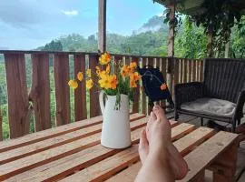 Home in the mountains