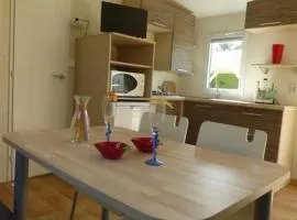 Mobil home confortable avec terrasse à Notre-Dame-de-Monts - API-1-52-516