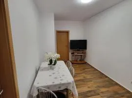 Apartament 3 camere Selimbar Octavian Goga