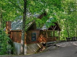 Forest Fling Cabin, Hotel in McCookville