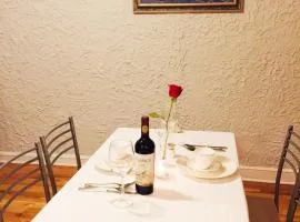 Entire Apartment in heart of Lincoln Park & Lake Sea and beach