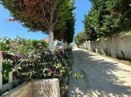 Casa Verde Apartment for Rent