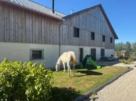 Les Bouloies - 2 gites familiaux l'Eden et les Saules -