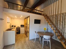 Studio mezzanine chez des mushers, villa in Chassiecq