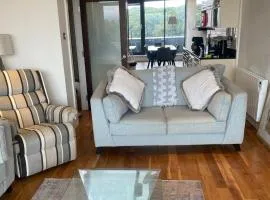 Stylish rooftop apartment River Liffey view
