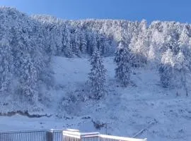 The Nature Retreat I Conference I Vacations I MICE I Family Events I Open Air Terrace I Sky Bonfire I Wooden Rooms With Pvt Balconies I by Exotic Stays