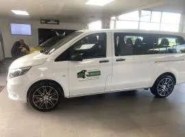 Greenlion transfers