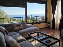 Vista Blue Villa