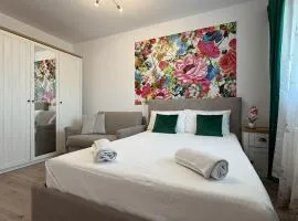 Rox Mountain View Apartament