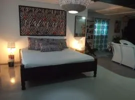 Casa Del Artista