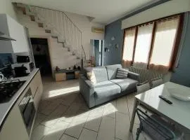 Pinarella 23