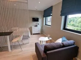 Comfortable apartment with free parking
