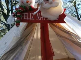 Piñoneras del cóndor