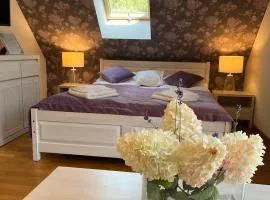 Apartamety i Pokoje Gościnne Na Jaskółczej