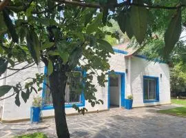 Quinta Benavidez
