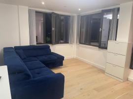 Spacious Flat for Professional, hotel a Slough