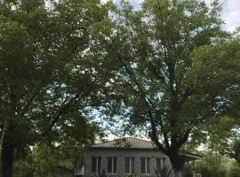 ELENA HOUSE kONTUATI