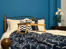 Cozy Comfy Budget Friendly