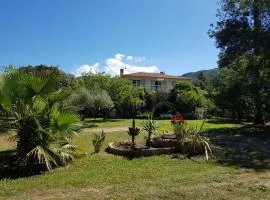 U PINU Appartement 3 chambres