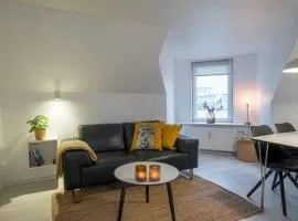 Scandinavian Charm in Aalborg