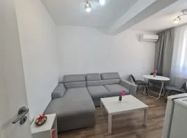 Latin studio