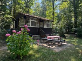 Family fishing hut，位于Starý Petřín的木屋