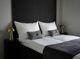 Premium Apartment With Sauna & Parking - Lapnest