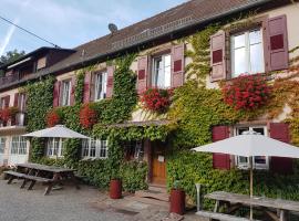 Hôtel du Haut Koenigsbourg- entre vignes et château, hôtel à Thannenkirch