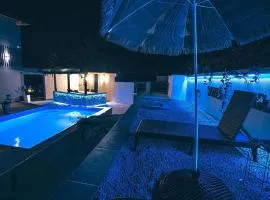 Modern Mountain Villa House with Private Pool, Jacuzzi & Sauna - Sarajevo Trebevic