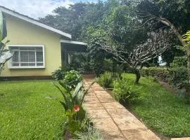 Avana Home