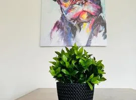 Gemütliches Altbauapartment II
