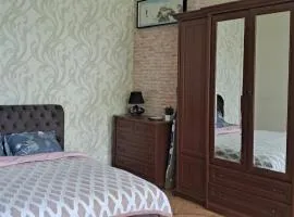 Двохкімнатні апартаменти в центрі міста