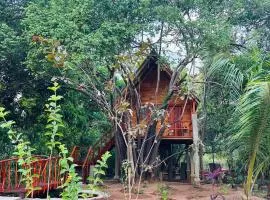 Kurulu Kele Tree House