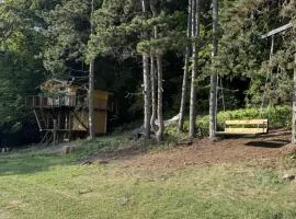 Treetop Tiny House Pod Korunami