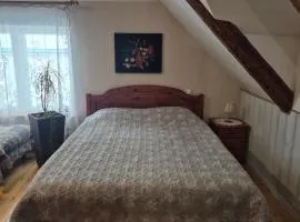 Mulgi Apartment