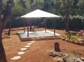 corsica