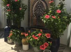 Casa de Cece