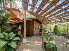 Samara Tarantela, Treehouse