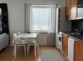 Small budget traveler's two-room apartment