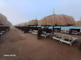 Queen T Suites All Inclusive Resort