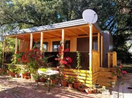 Sweet house Pakoštane