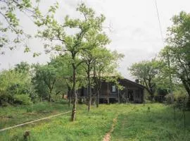 Mettavasi