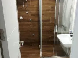 Ski-in Apartment