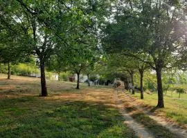 Domaine de la Boria