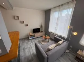 Appartement Cosy au coeur de Saint Etienne