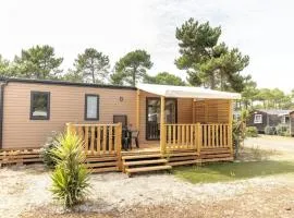 Séjour famille Camping 5 étoiles