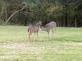 En-Deer-ing Pet friendly Retreat, căn hộ ở Salado