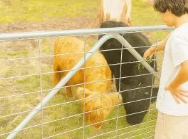 Fun Family Escape with Highland Cows